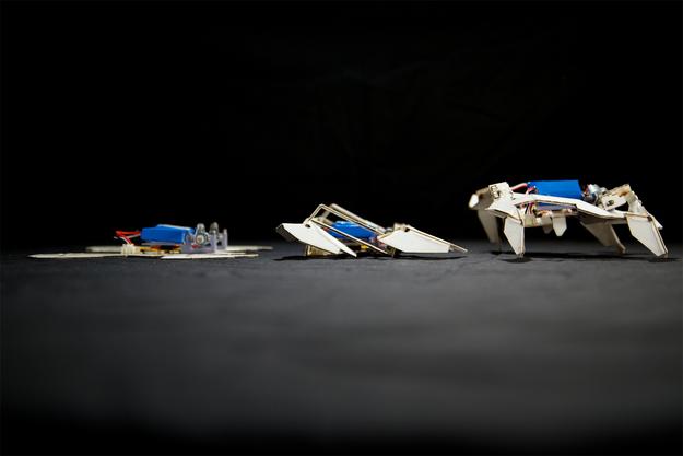 Autobot dan Decepticon Sila Beri Laluan, Transformers Origami Dah Tiba