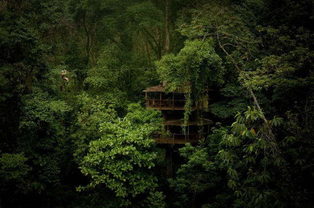 Inginkan Percutian Resort Ala Hutan Tropika? Kami Sarankan Anda Pergi Hutan Costa Rica