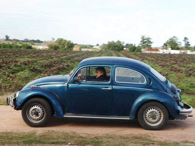 Volkswagen Beetle Milik Presiden Termiskin Dunia Dari Uruguay Ditawar Dengan Harga 1 Juta. Wow!