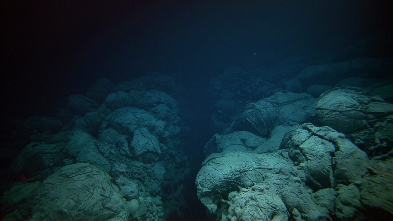 Anda Ingat Laut Dipenuh Air Sahaja, Tunggu Sampai Anda Lihat Gambar Ini