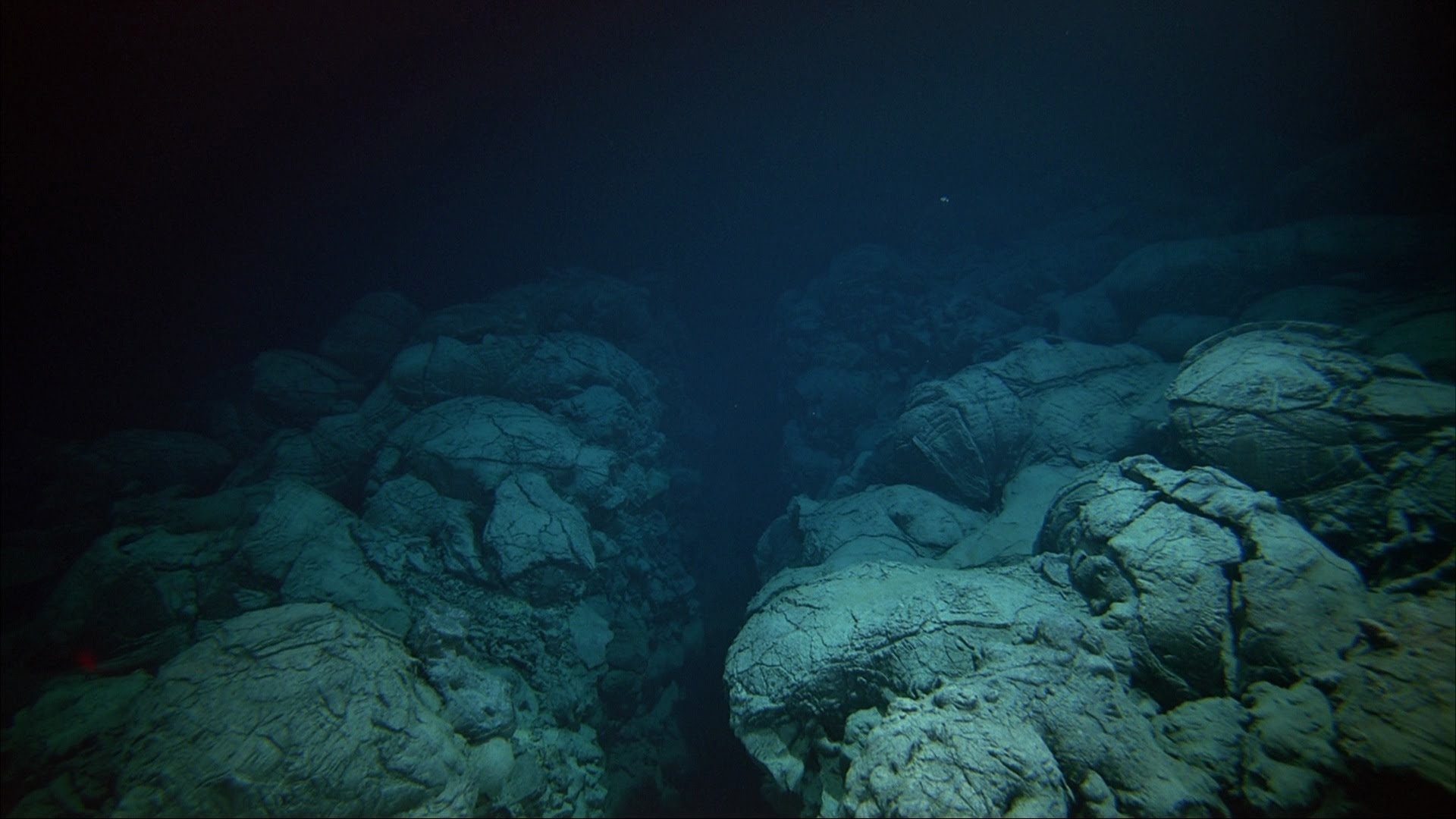 Anda Ingat Laut Dipenuh Air Sahaja, Tunggu Sampai Anda Lihat Gambar Ini
