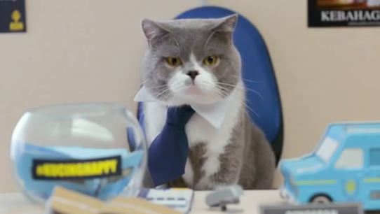 Kucing Happy - Selebriti Kucing Paling Gembira Di Malaysia Masa Kini