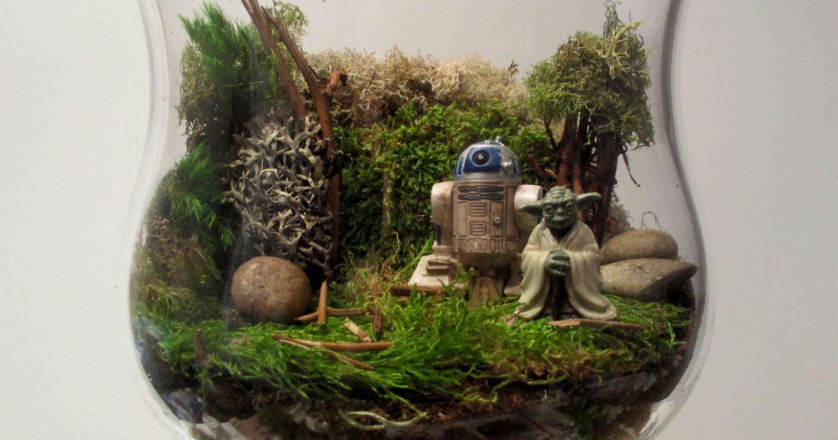 10 Idea Terrarium Yang Menarik Untuk Dibuat