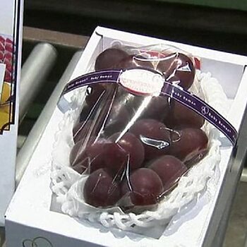 Buah Anggur Ini Terjual Pada Harga RM44,360 Dalam Satu Acara Lelongan