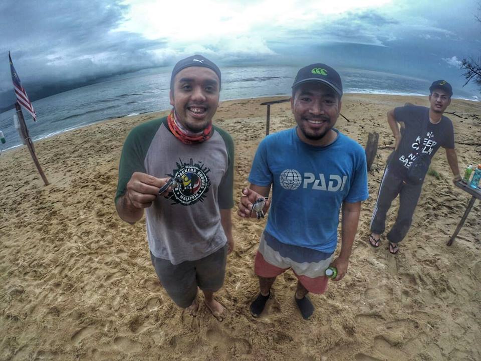 Bagaimana Menjadi 'Host Couchsurfing' Bawa Aku Jadi Sukarelawan Pemuliharaan Penyu