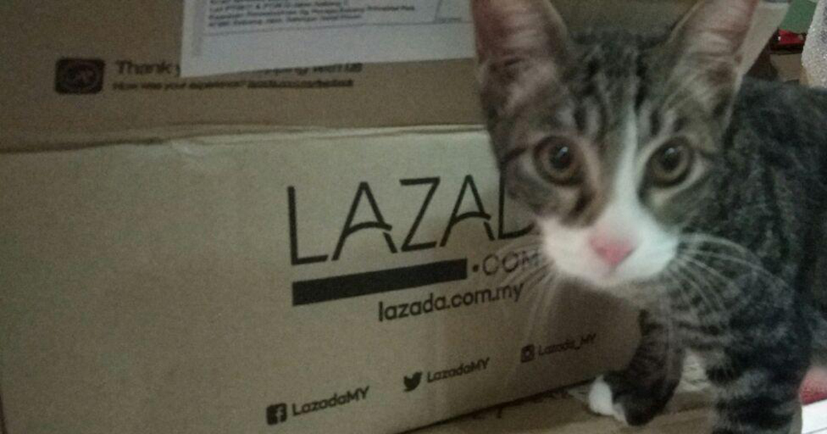 Saya Cuba Taobao@Lazada, Dan Ini Apa Saya Rasa