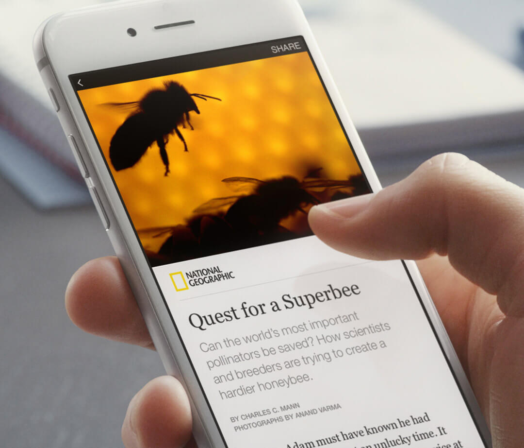 Facebook Bawakan Semula Fungsi 'Instant Article' Buat Penulisan Berbayar