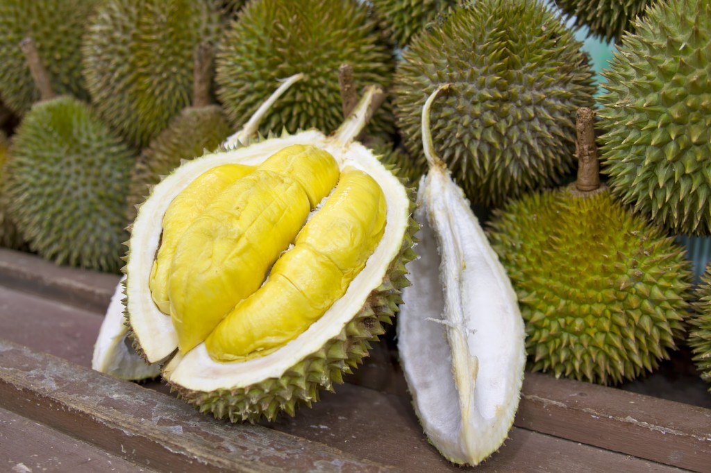 Makan Durian Sampai Puas Di Selangor Food Mega Festival 2017
