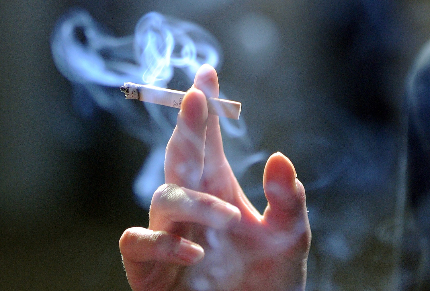 Harga Rokok Kemungkinan Bakal Naik Lagi