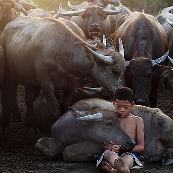 Dallah Dean Kecewa Hasil Kerjanya Didakwa 'Tiru' Foto Jurugambar Indonesia
