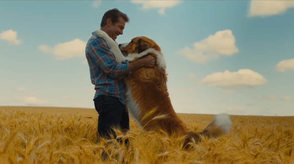 A Dog's Journey, Filem Penuh Emosi Tentang Kehidupan Seekor Anjing