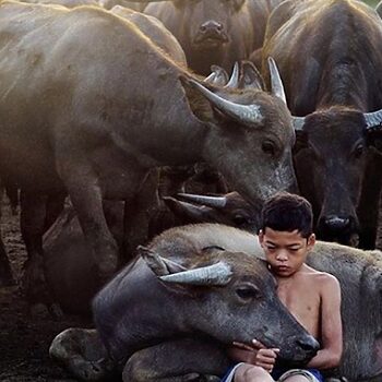 Gambar 'Mowgli Malaysia' Terpilih Untuk Dipamerkan Di Rome, Itali