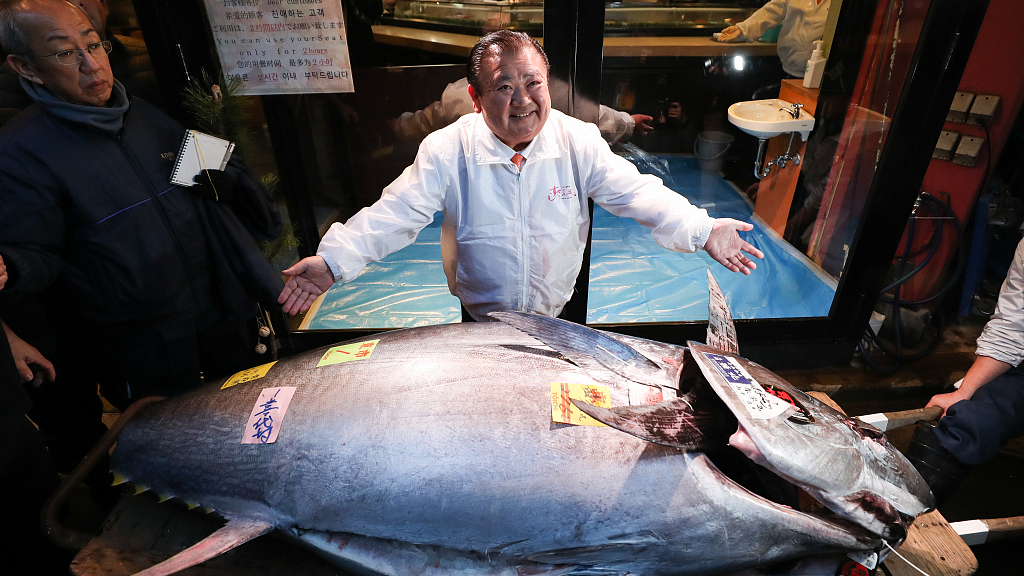 Lelaki Ini Sanggup Habiskan Wang Sebanyak RM7.4 Juta Demi Seekor Tuna Biru