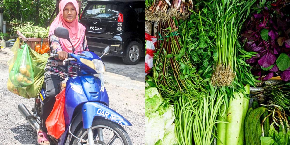 Demi Cari Rezeki Sara 8 Orang Anak, Wanita Ini Sanggup Jual Sayur Hanya Guna Motosikal