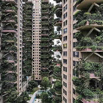 Rumah Berkonsepkan 'Nature' Makan Tuan, Hanya 10 Penghuni Berpindah Disebabkan Banyak Nyamuk