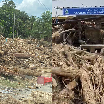 ‘Hasil Tangan Manusia Rakus’ - Netizen Kongsi Gambar Timbunan Kayu Balak Di Lokasi Banjir