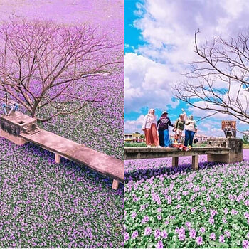 'Loji Kumbahan Pun Glow Up'- Netizen Pelik Lokasi Busuk Tapi Cantik Di Kedah Ini Jadi Tumpuan Ramai
