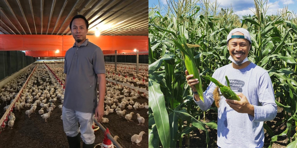 Didakwa Harga Ayam Mahal Berikutan 'Disorok', Pengusaha Ini Jelaskan Isu Yang Berlaku