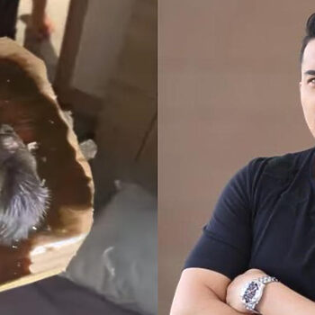 Dakwa Datang Dari 'Luggage', Aaron Aziz Terkejut Dengan Respon Pihak Hotel Selepas Temui Tikus Dalam Bilik