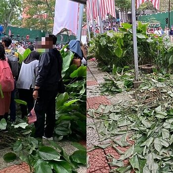 DBKL Berang Pengunjung Sambutan Hari Kebangsaan Jahanamkan Pokok