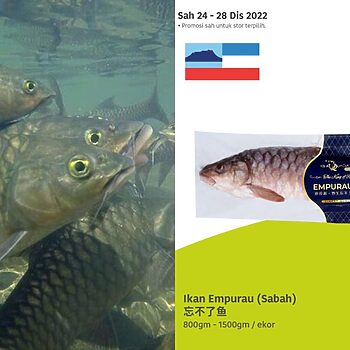 Dijual RM388.88 Sekilogram, Netizen Terkejut Ikan 'Kayangan' Ini Ada Di Lotus's