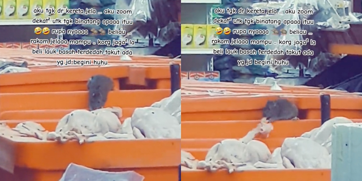 Rakaman Tikus Makan Ayam Mentah Dalam Kedai Runcit Buat Netizen Kembang Tekak