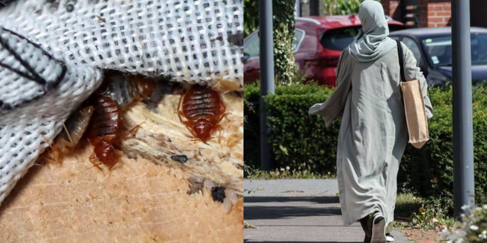 Sebulan Selepas Haramkan Abaya, Wabak Kutu Busuk Kini Melanda Perancis