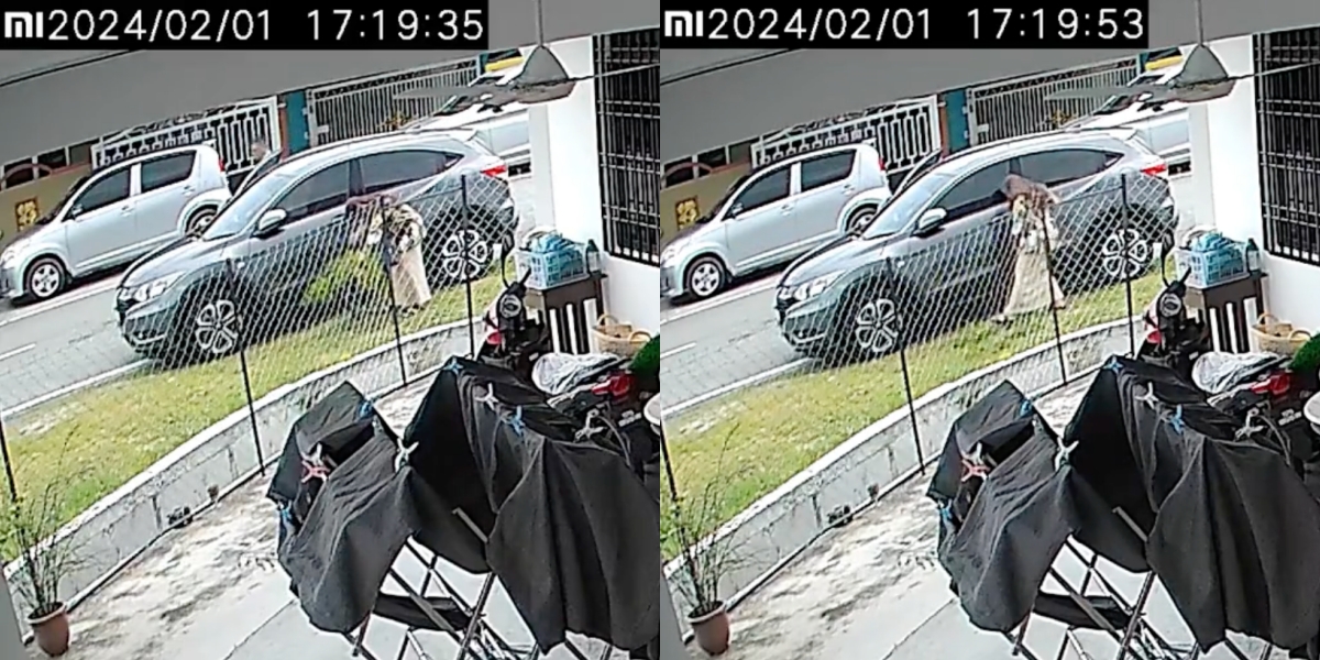 'Mak Cik Apa Salah Pokok Itu? Sakit Hati Saya Tengok'