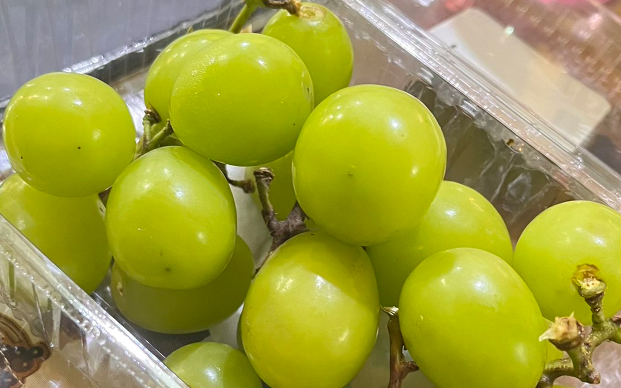 Anggur shine muscat