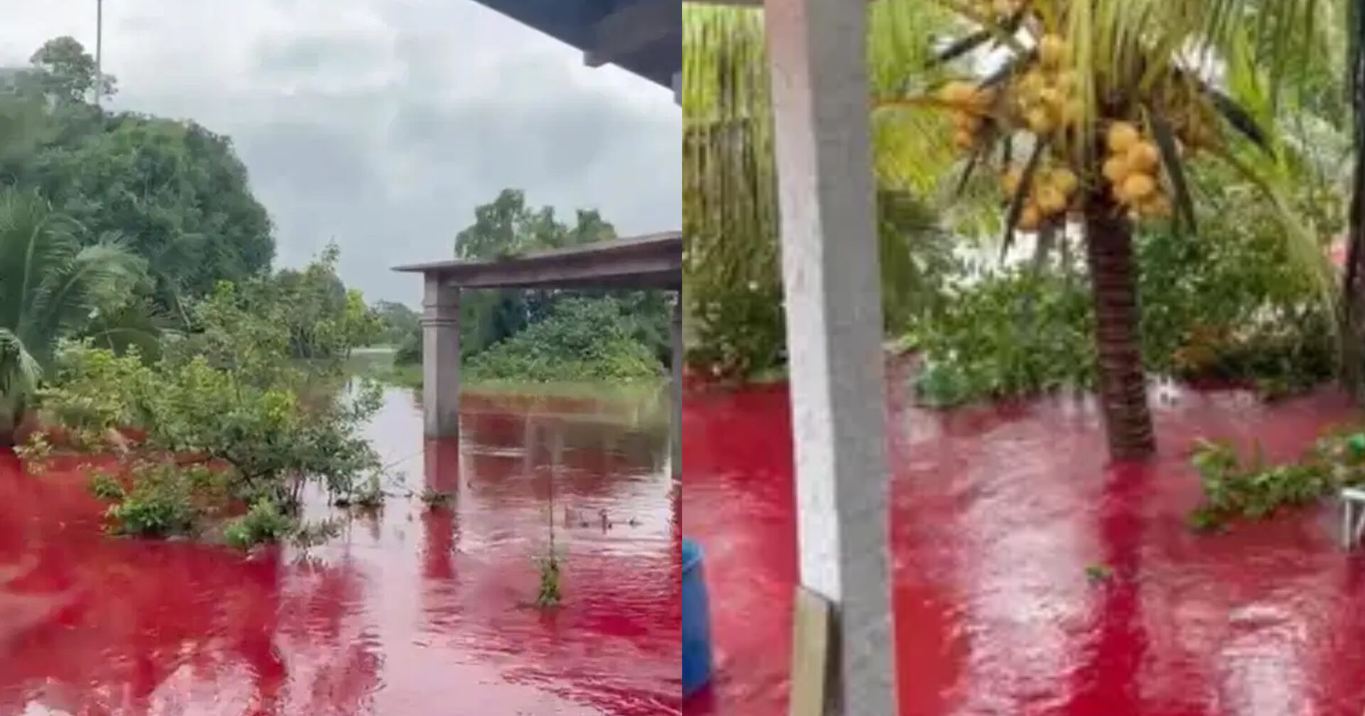 Banjir darah kelantan