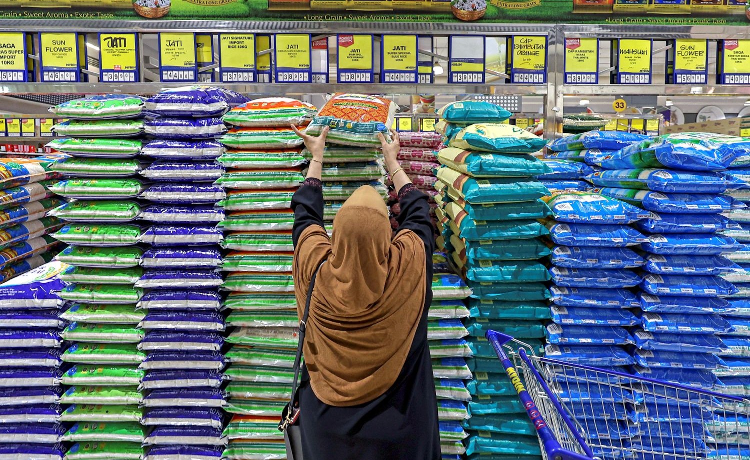 beras tempatan