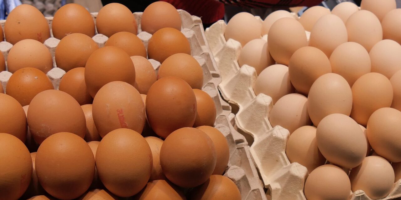Kawalan Harga Telur Ditamatkan, Subsidi Bersasar Mulai 1 Mei