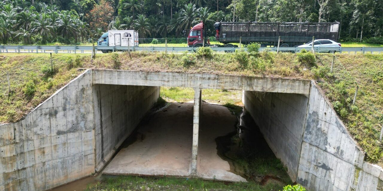 KKR Akan Pastikan 'Terowong Hidupan Liar' Masuk Dalam Rekaan Jalan, Lebuh Raya Baharu
