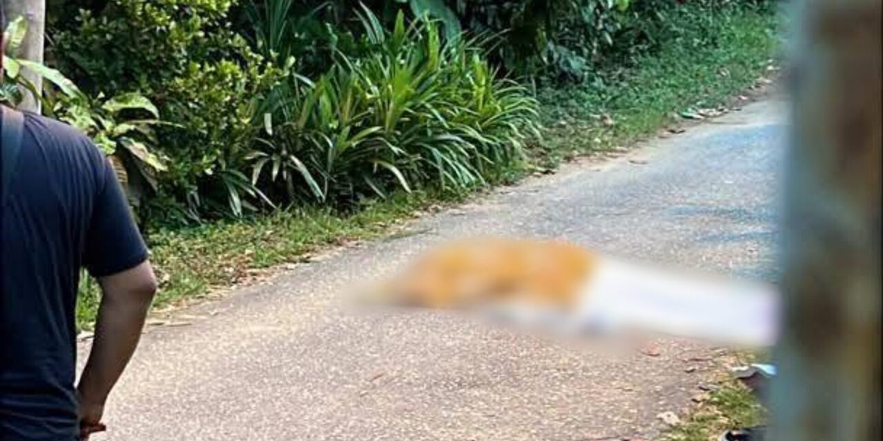 Dipercayai Tegur Remaja Main Motosikal, Warga Emas Maut Dipukul Cota Besi