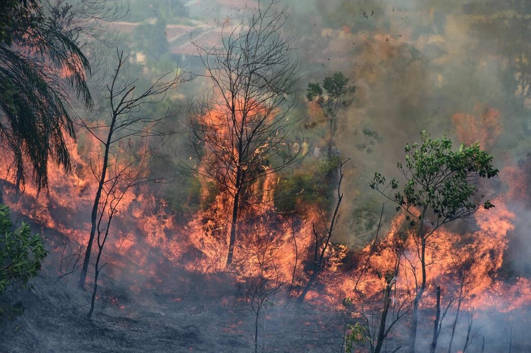 Asap Kebakaran Hutan Riau Kini Merebak Ke Malaysia 3 Asap Kebakaran Hutan Riau Kini Merebak Ke Malaysia