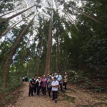 FRIM Diiktiraf Sebagai Tapak Warisan Dunia UNESCO Ke-6 Malaysia 4 FRIM Diiktiraf Sebagai Tapak Warisan Dunia UNESCO Ke-6 Malaysia