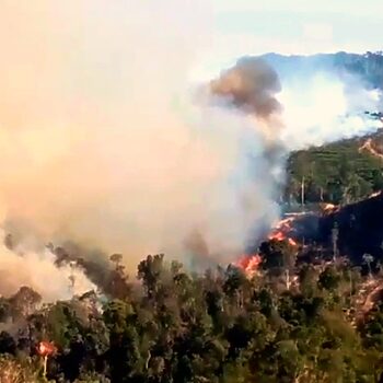 Asap Kebakaran Hutan Riau Kini Merebak Ke Malaysia 2 asap