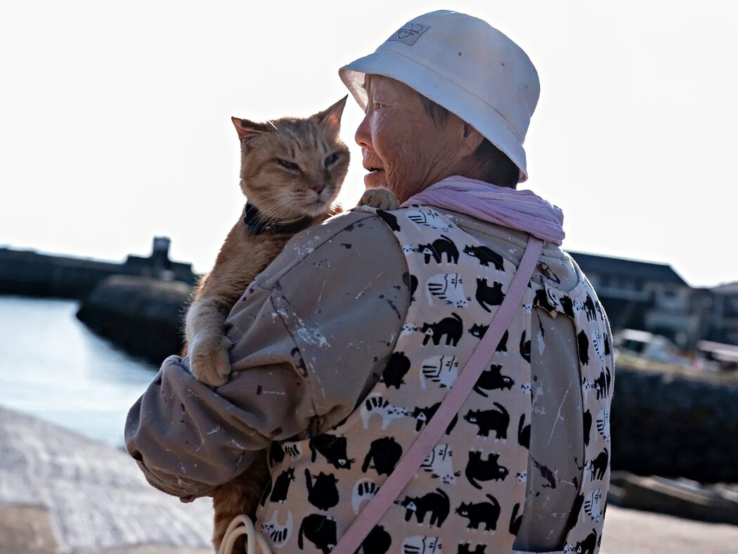 Aoshima: Pulau Kucing Yang Bakal Sunyi Selamanya 2 Aoshima: Pulau Kucing Yang Bakal Sunyi Selamanya