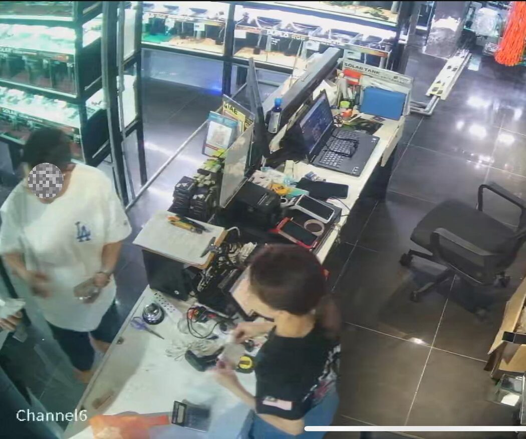 Peniaga Cari Lelaki Beli Ikan Buntal Bernilai RM1,600 Dengan Harga RM1.60 Sahaja
