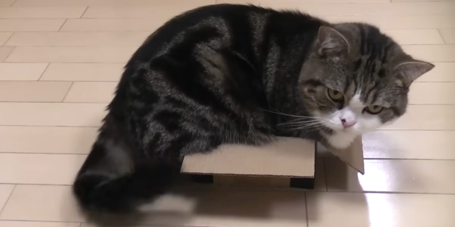 maru