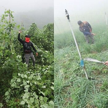 SPRM Pahang Cadang Denda Pemilik Ceroboh Tanah Cameron Highlands Dinaikkan RM100,000 2 SPRM Pahang Cadang Denda Pemilik Ceroboh Tanah Cameron Highlands Dinaikkan RM100,000