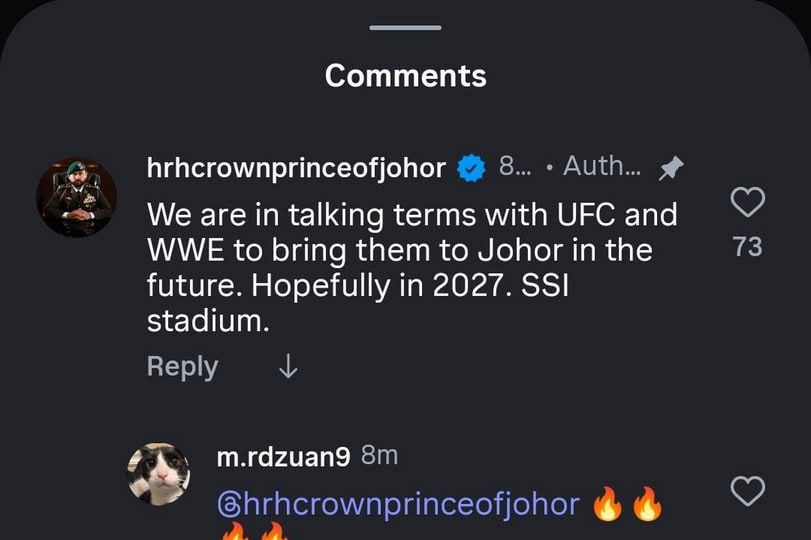 'Sedang Berunding Bawa UFC, WWE Ke Johor' - Tunku Ismail