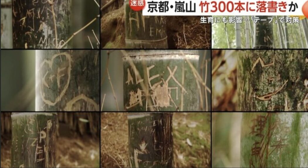 Rakyat Malaysia Antara Pelancong Lakukan Vandalisme Di Hutan Buluh Arashiyama, Jepun 2 Rakyat Malaysia Antara Pelancong Lakukan Vandalisme Di Hutan Buluh Arashiyama, Jepun