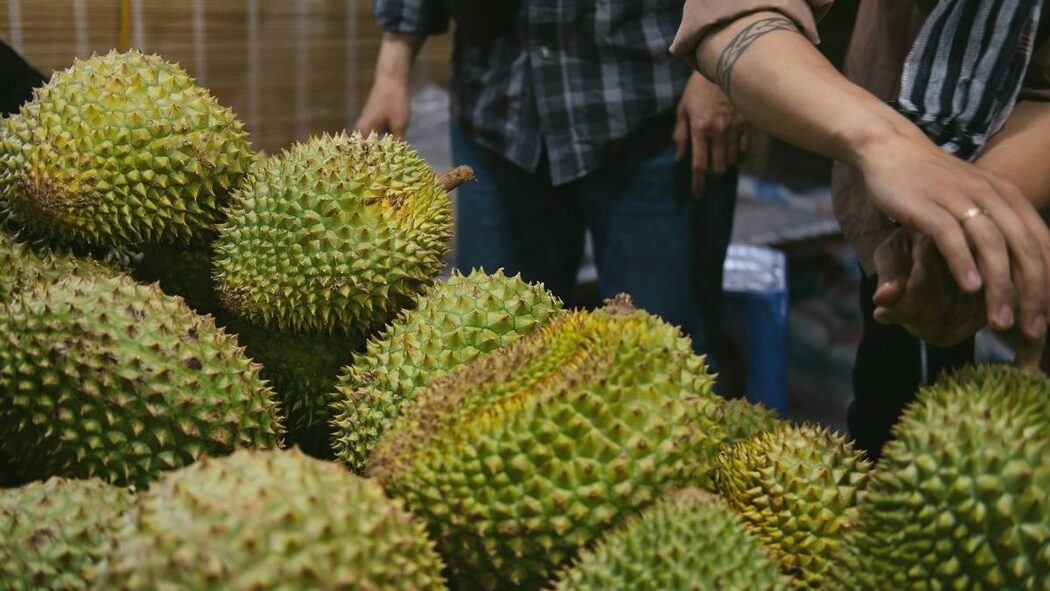 Malaysia Mahu Jadikan Durian Sebagai Buah Nasional, Menteri Indonesia Dakwa Mereka Lebih Layak 2 Malaysia Mahu Jadikan Durian Sebagai Buah Nasional, Menteri Indonesia Dakwa Mereka Lebih Layak