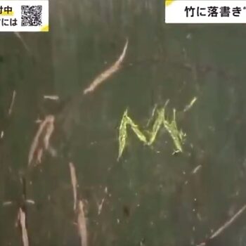 Rakyat Malaysia Antara Pelancong Lakukan Vandalisme Di Hutan Buluh Arashiyama, Jepun