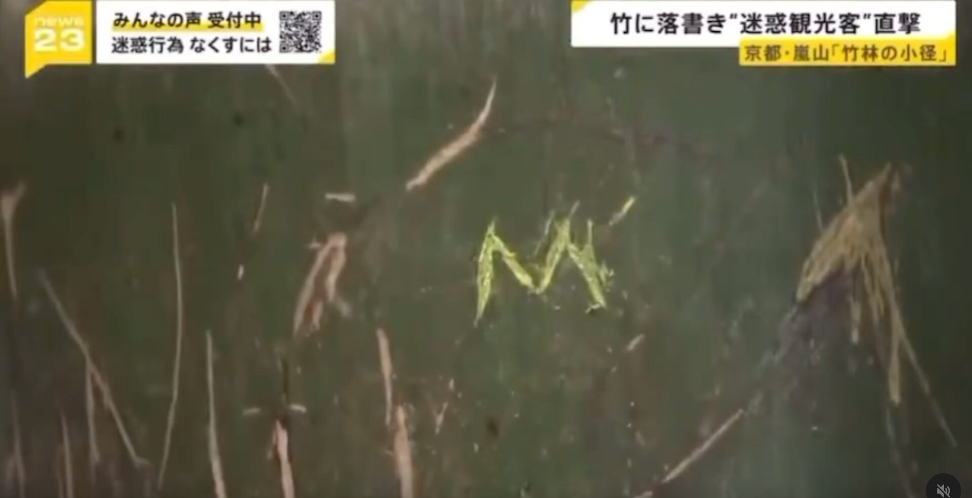 Rakyat Malaysia Antara Pelancong Lakukan Vandalisme Di Hutan Buluh Arashiyama, Jepun