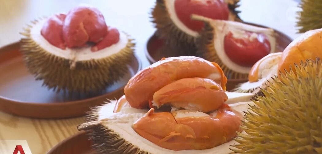 Rendah Gula & Tak 'Panas', Durian Merah Sabah Jadi Buruan Peminat Gaya Hidup Sihat