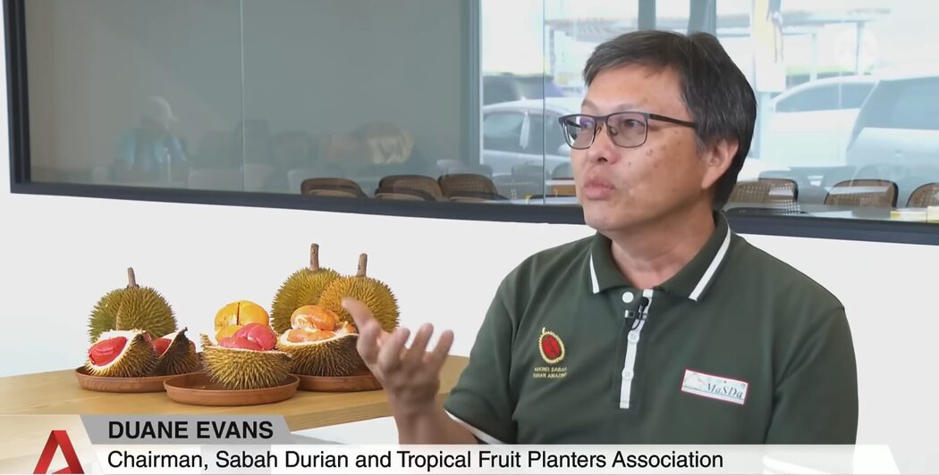 Rendah Gula & Tak 'Panas', Durian Merah Sabah Jadi Buruan Peminat Gaya Hidup Sihat
