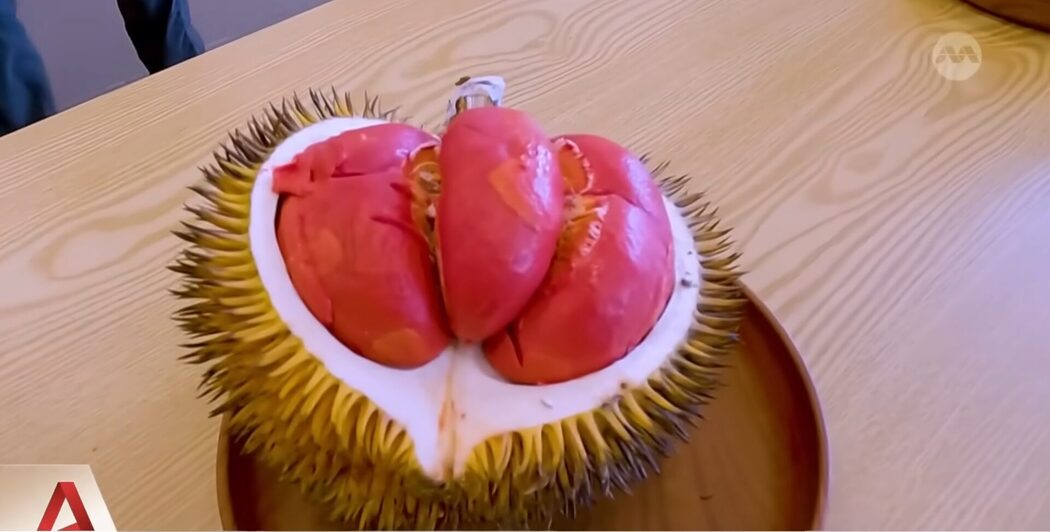 Rendah Gula & Tak 'Panas', Durian Merah Sabah Jadi Buruan Peminat Gaya Hidup Sihat