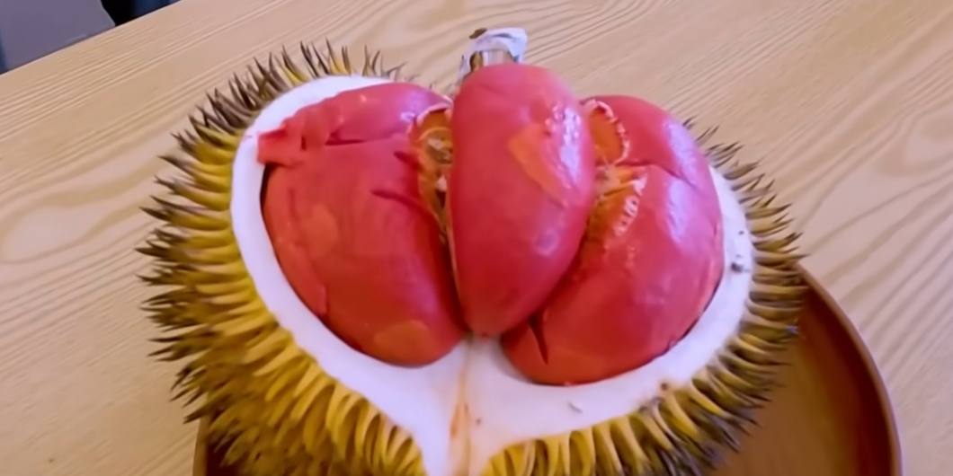 Rendah Gula & Tak 'Panas', Durian Merah Sabah Jadi Buruan Peminat Gaya Hidup Sihat